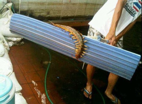 316504_223917721014797_100001897111025_598999_799431818_n