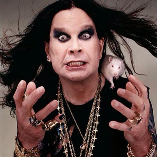 734013_10151516974902318_1990773832_n