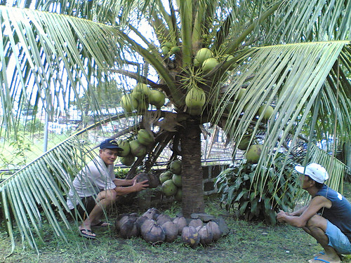 2264084179_30061fc861